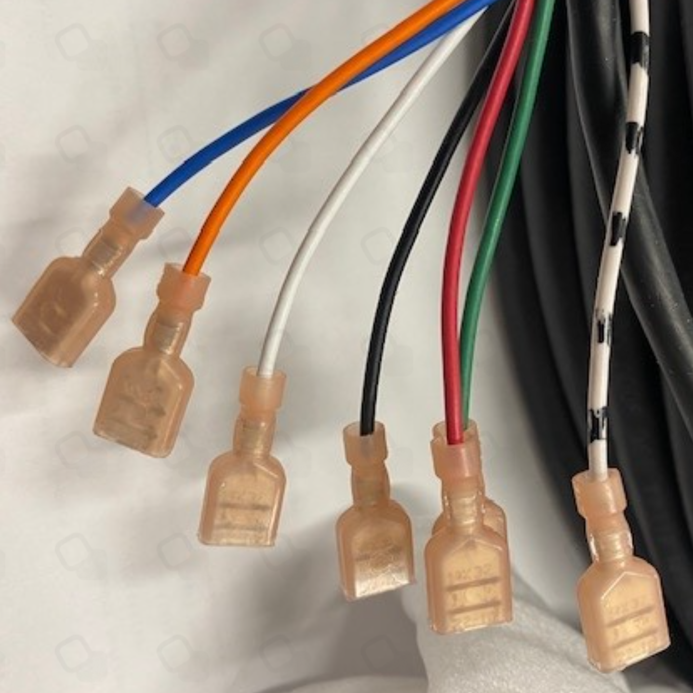 Raymond - 1254301/009